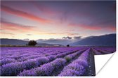 Zonsondergang boven lavendels Poster 90x60 cm - Foto print op Poster (wanddecoratie woonkamer / slaapkamer)