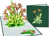 Popcards popupkaarten - Strelitzia bloem plant Birds of Paradise Paradijsvogelbloem Paradijsvogelplant Vogelkopbloem pop-up kaart 3D wenskaart