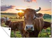 Décoration murale extérieure Vaches - Soleil - Pâturage - Campagne - 160x120 cm