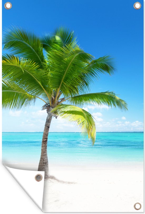 Décoration de jardin Palmier - Plage - Mer - Eté - 40x60 cm - Poster jardin