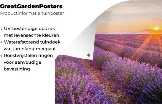 Affiche de jardin lavande - Coucher de soleil - Fleurs - Violet - Toile de jardin - Toile de clôture - Peinture jardin extérieur - Décoration clôture - 200x200 cm - Décoration de jardin - Jardin - Poster extérieur