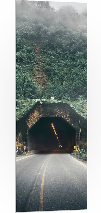 WallClassics - PVC Schuimplaat- Weg richting Tunnel in Berg - 40x120 cm Foto op PVC Schuimplaat