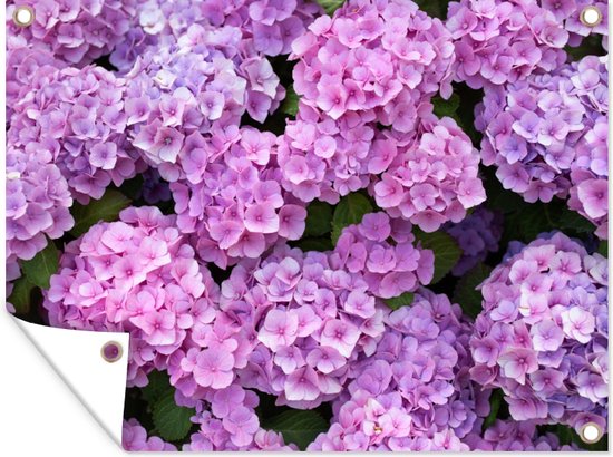 Décoration murale extérieure Fleurs - Hortensia - Arbuste - Rose - Pétales - 160x120 cm - Toile jardin - Poster extérieur