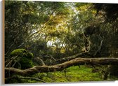 WallClassics - Bois - Troncs, Branches et Feuilles en Forêt - 100x75 cm - 12 mm d'épaisseur - Photo sur Bois (Avec Système d'accrochage)