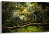 WallClassics - Bois - Troncs, branches et feuilles en forêt - 90x60 cm - 12 mm d'épaisseur - Photo sur bois (avec système de suspension)