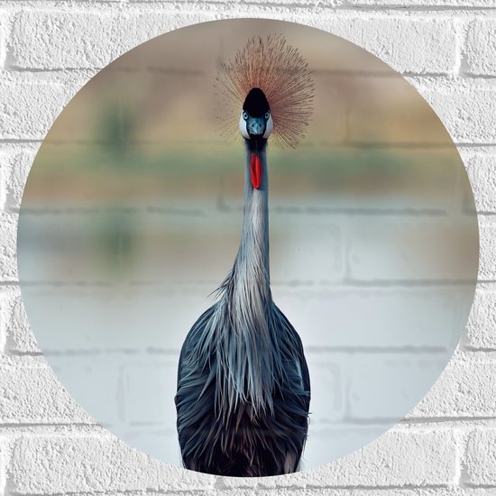WallClassics - Muursticker Cirkel - Statige Kraanvogel in Groene Grassen aan het Water - 50x50 cm Foto op Muursticker