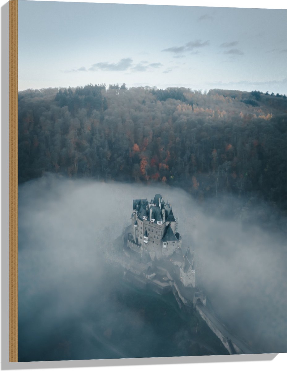 Hout - Kasteel in de Mist tussen Bossen - 60x80 cm - 12 mm dik - Foto op Hout (Met Ophangs