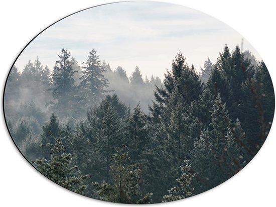 WallClassics - Dibond Ovaal - Boomtoppen van het Bos in de Winter - 56x42 cm Foto op Ovaal (Met Ophangsysteem)