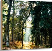 WallClassics - Hout - Lichtplek tussen Bomen - 80x80 cm - 12 mm dik - Foto op Hout (Met Ophangsysteem)