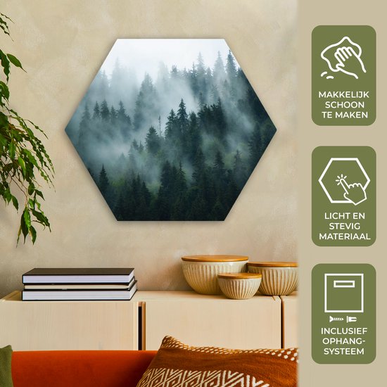 Hexagon wanddecoratie - Kunststof Wanddecoratie - Hexagon Schilderij - Mist - Bomen - Bos - 75x65 cm