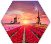 Hexagon wanddecoratie - Kunststof Wanddecoratie - Hexagon Schilderij - Bloemen - Windmolen - Tulpen - Zonsondergang - Roze - 75x65 cm