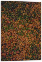 WallClassics - Dibond - Bos met Oranje Bruine en Groene Bomen vanuit de Lucht - 60x90 cm Foto op Aluminium (Met Ophangsysteem)