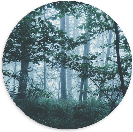 WallClassics - Dibond Muurcirkel - Lichte Mist in een Groen Bos - 100x100 cm Foto op Aluminium Muurcirkel (met ophangsysteem)