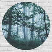 WallClassics - Muursticker Cercle - Brume Légère dans une Forêt Verte - 100x100 cm Photo sur Muursticker