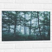 WallClassics - Muursticker - Brouillard Léger dans une Forêt Verte - 60x40 cm Photo sur Muursticker