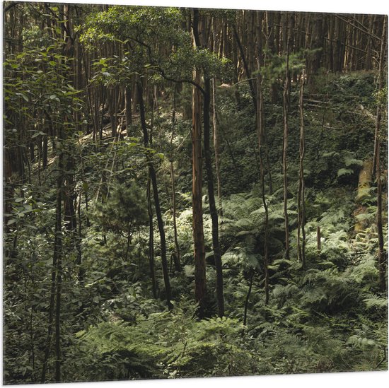 WallClassics - Drapeau - Jungle Verte - 100x100 cm Photo sur Drapeau Polyester
