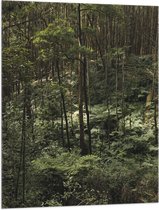WallClassics - Drapeau - Jungle Verte - 75x100 cm Photo sur Drapeau Polyester