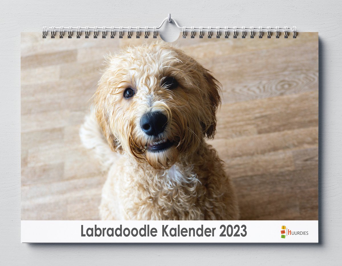 Labradoodle kalender 2023 | 35x24 cm | jaarkalender 2023 | Wandkalender 2023