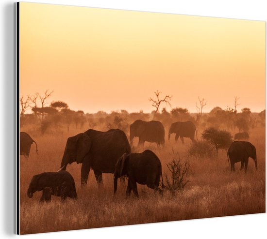 Wanddecoratie Metaal - Aluminium Schilderij Industrieel - Wilde Afrikaanse olifanten van het nationaal park Kruger in Zuid-Afrika - 180x120 cm - Dibond - Foto op aluminium - Industriële muurdecoratie - Voor de woonkamer/slaapkamer