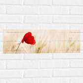 WallClassics - Muursticker - Rode Klaproos tussen de Droge Grassen - 60x20 cm Foto op Muursticker