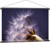 WallClassics - Affiche Textile - Pissenlit sur Fond Violet - 90x60 cm Photo sur Textile