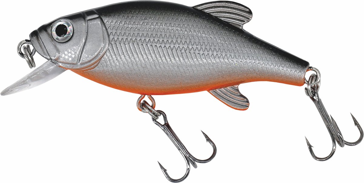 Albatros Catch21 Peacock Silver Shiner