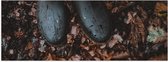 WallClassics - Poster Glossy - Bottes de Pluie dans les Feuilles d'Automne - 60x20 cm Photo sur Papier Poster avec Finition Brillante