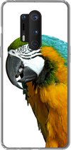Geschikt voor OnePlus 8 Pro hoesje - Papegaai - Vogel - Veren - Portret - Siliconen Telefoonhoesje