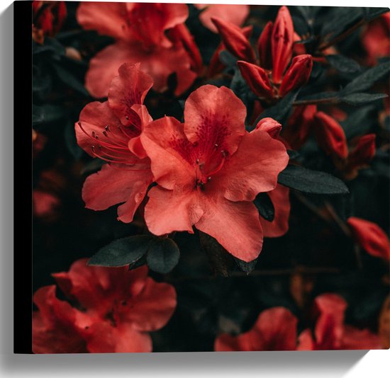 WallClassics - Canvas  - Rode Bloem met Groen Blad - 40x40 cm Foto op Canvas Schilderij (Wanddecoratie op Canvas)
