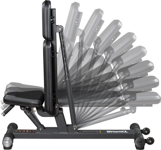 Banc de musculation Taurus Studio F.I. - Fitshop