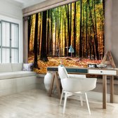 Fotobehang - Vlies Behang - 3D Uitzicht op het Herfstbos Raamzicht - 368 x 254 cm