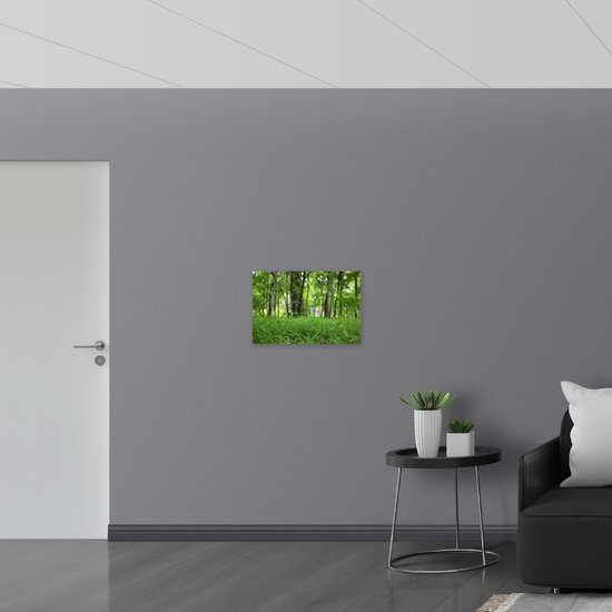 WallClassics - Panneau en mousse PVC - Herbe verte à l'orée de la forêt - Photo 60x40 cm sur panneau en mousse PVC (avec système d'accrochage)