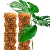 Kokosstok - 2 stuks - 80 cm hoog - 3,2 cm dik - Steunstok, plantensteun, plantenstok, mosstok