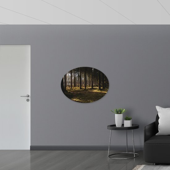 WallClassics - Panneau de mousse PVC ovale - Arbres avec mousse dans la forêt - 96x72 cm Photo sur ovale (avec système de suspension)