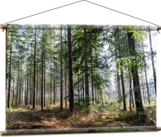 WallClassics - Affiche Textile - Grands Pins dans la Forêt - 90x60 cm Photo sur Textile