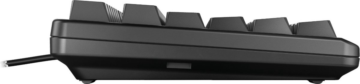 CHERRY G80-3000N RGB TKL toetsenbord USB QWERTY US International Zwart