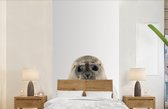 Behang kinderkamer - Fotobehang Zeehond - Dieren - Kind - Jongens - Meisjes - Kinderen - Breedte 120 cm x hoogte 240 cm - Kinderbehang