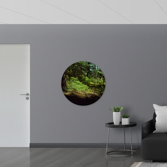 WallClassics - Muursticker Cercle - Ombre dans la Forêt - 90x90 cm Photo sur Muursticker