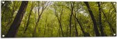 WallClassics - Poster de jardin - Lierre sur Arbres dans la forêt - 120 x 40 cm Photo sur poster de jardin (décoration murale pour extérieur et intérieur)