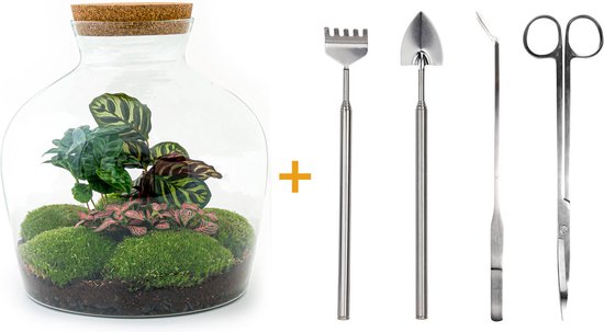 Planten