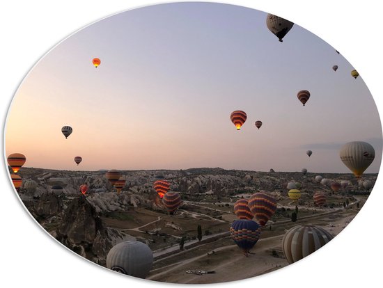 WallClassics - PVC Schuimplaat Ovaal - Luchtballonnen boven Bergachtig Landschap - 68x51 cm Foto op Ovaal  (Met Ophangsysteem)