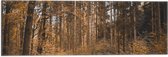 WallClassics - Drapeau - Forêt en Automne - 60x20 cm Photo sur Drapeau Polyester