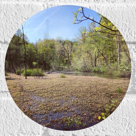 WallClassics - Muursticker Cercle - Zone marécageuse - Photo 20x20 cm sur Muursticker