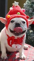 Kerstpak voor Kleine Hond of Kat - Muts - Maat S - kerstcadeau - Hondenkleding - Rood