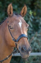 On Horses Bridon Kingecross sans mors - Zwart- Cob/Full