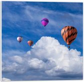 WallClassics - PVC Schuimplaat- Gropeje Luchtballonnen bij Witte Wolken - 50x50 cm Foto op PVC Schuimplaat