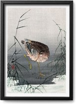 Poster Ohara Koson – A2 - 42 x 59,4 cm - Exclusief lijst