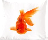 Coussins Coussins décoratifs - Oreillers Salon - 50x50 cm - Poisson rouge - Animaux aquatiques - Oranje