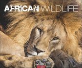 Calendrier de la faune africaine 2023