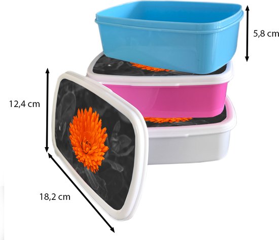 Lunch box Wit - Lunch box - Boîte à pain - Fleurs - Oranje - Zwart - Wit - 18x12x6 cm - Adultes